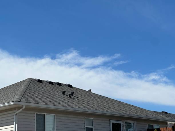 Best Cold Roofs  in Roseto, PA